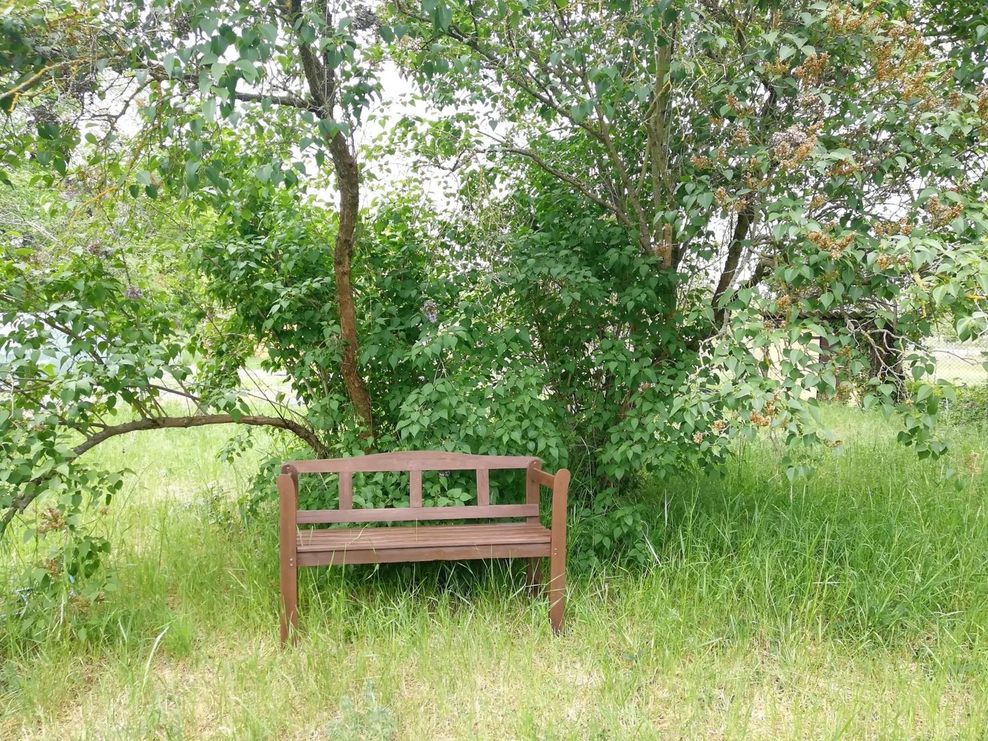 Kleine Galerie Apartment Fuer 3 Mit Kueche Kamin Netflix Parken Und Hofladen Steinhofel Exterior foto